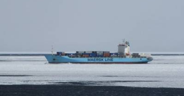Hang tau Maersk Line